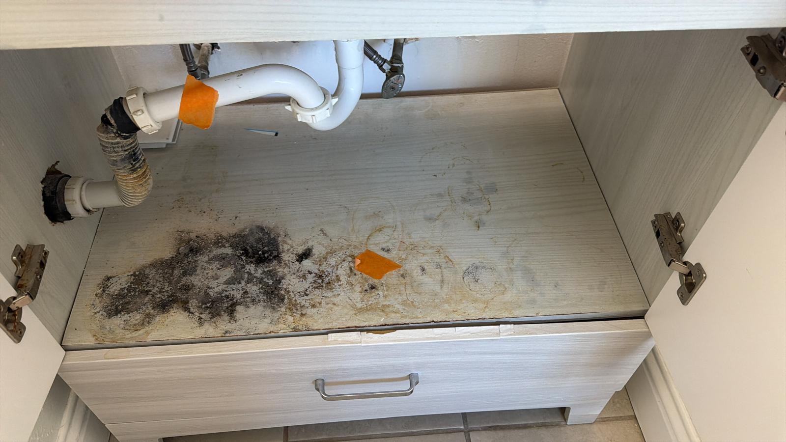 Cleaning Work 5
